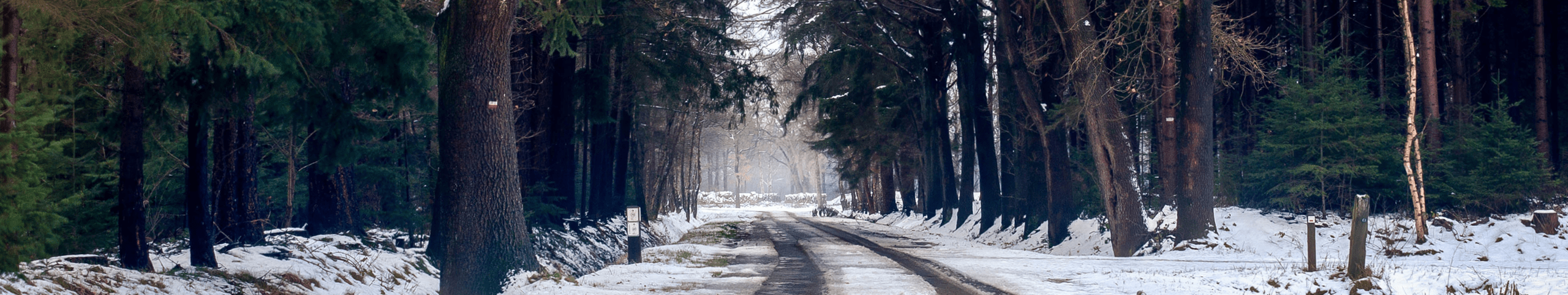 Banner Vakantiehuis december